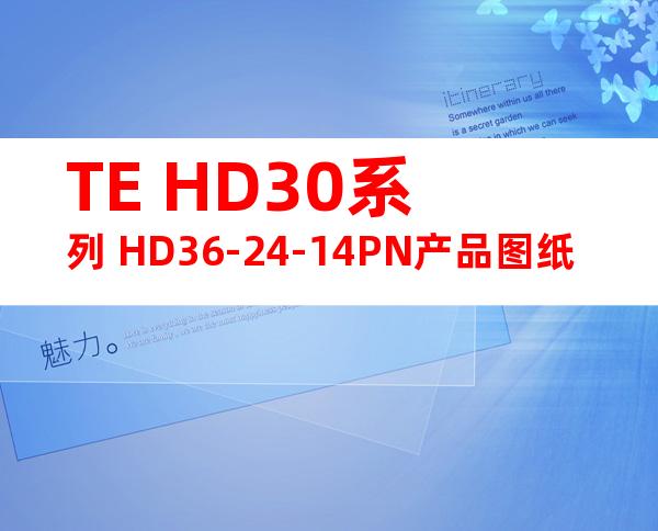 TE HD30系列 HD36-24-14PN产品图纸
